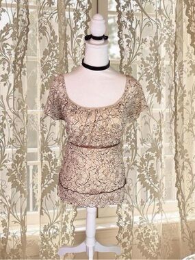 Vintage Y2K Whimsygoth Fairycore Empire Waist Lacey Flowy Top